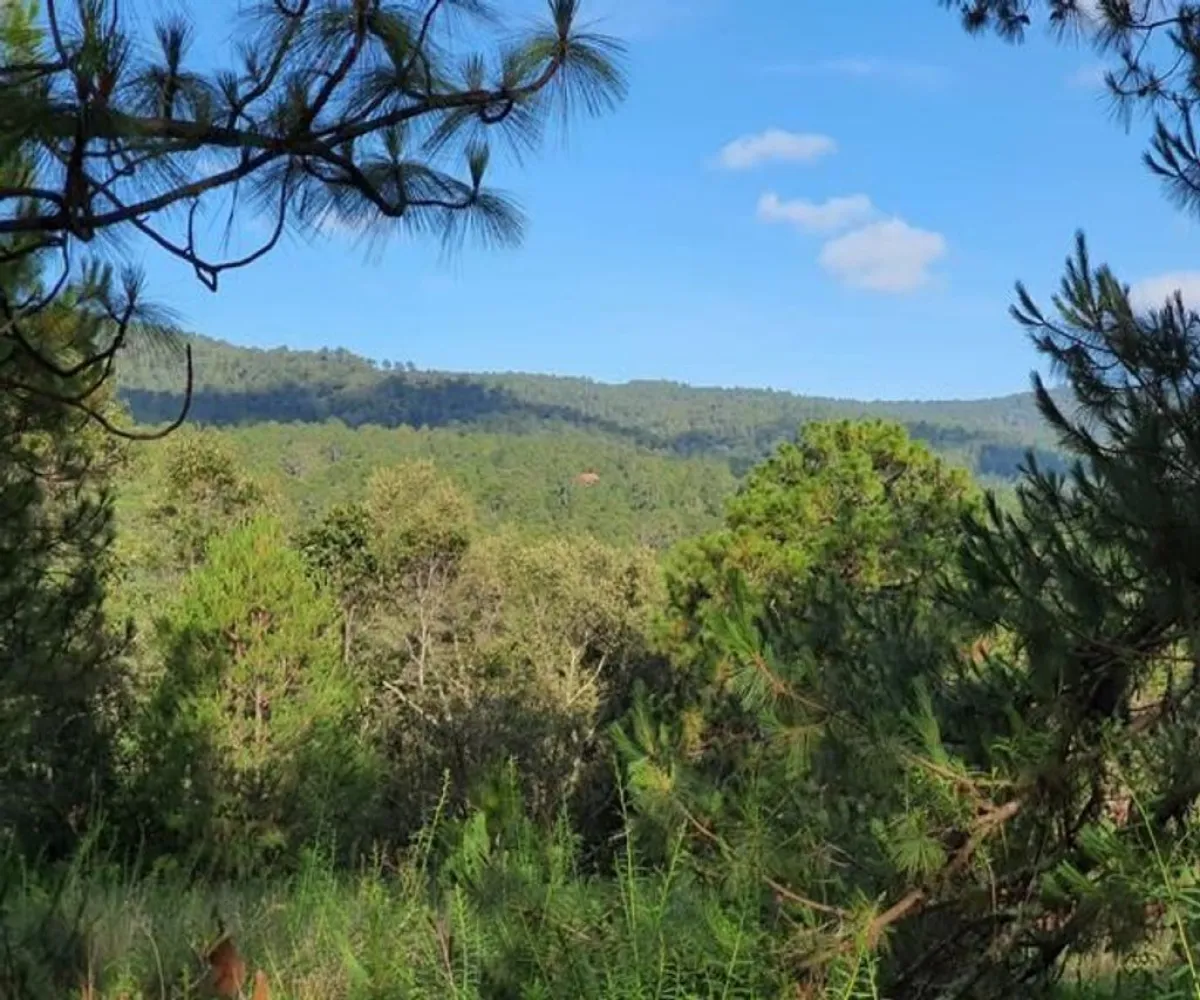 Terreno En Venta,Avenida Brizuela S/N, Atemajac de Brizuela, Jalisco 45790,Avenida Brizuela,pwXkKEb