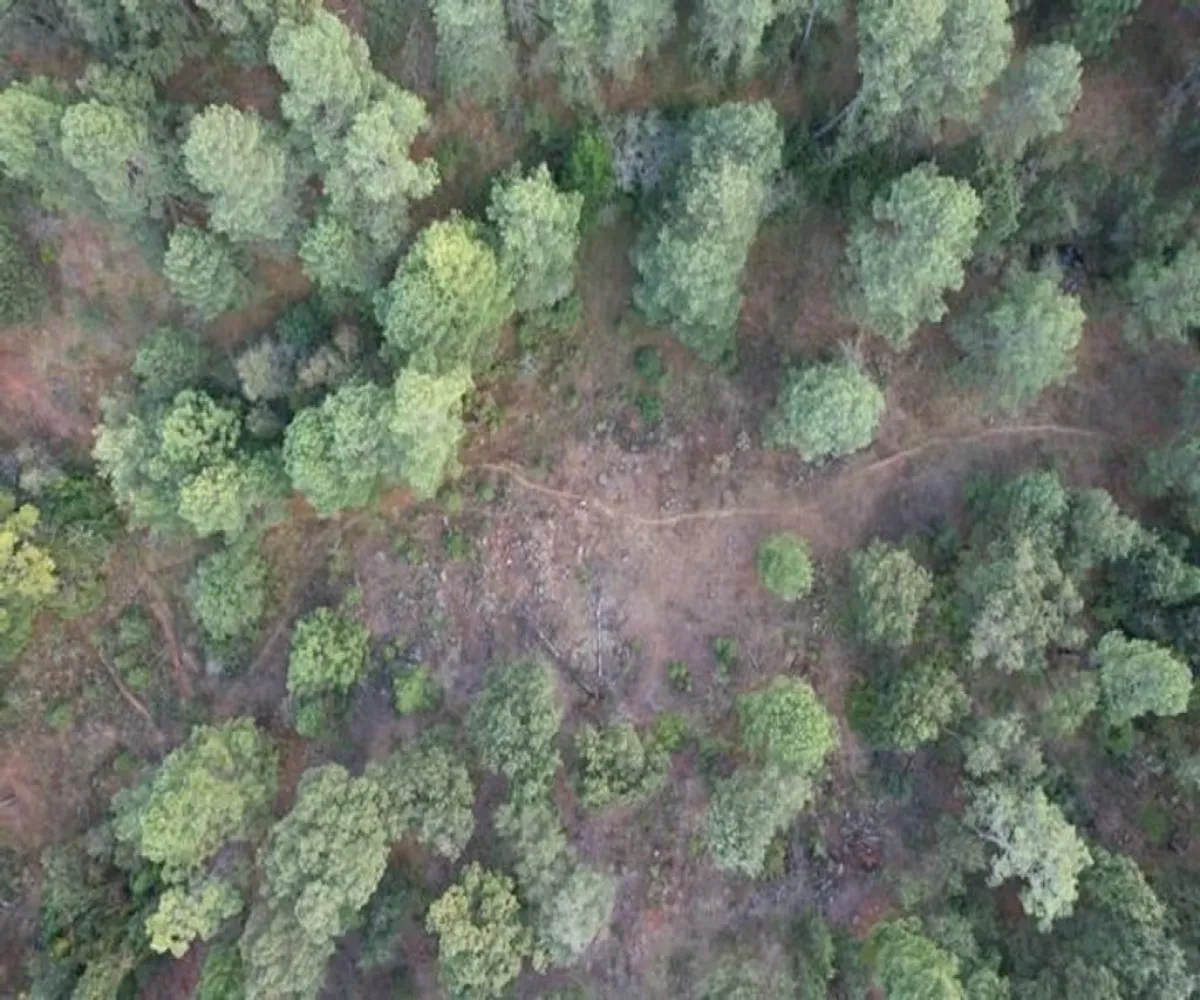 Terreno En Venta,Avenida Brizuela S/N, Atemajac de Brizuela, Jalisco 45790,Avenida Brizuela,pwXkKEb