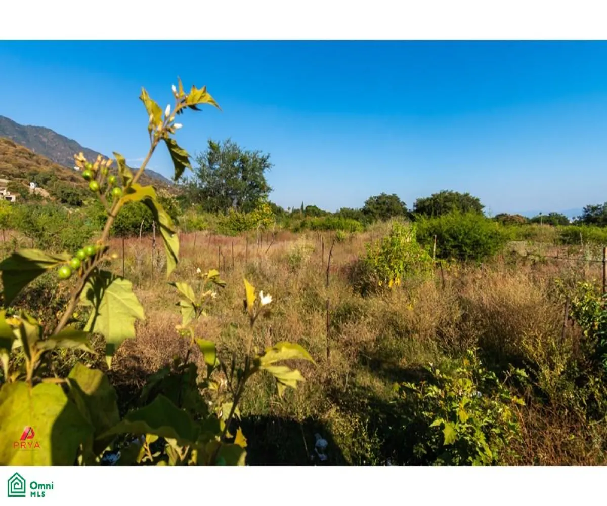 Casa En Venta,Ajijic,carretera chapala jocotepec #1300, Chapala, Jalisco 45820, 3 Habitaciones,3 Baños,carretera chapala jocotepec,MX23545350