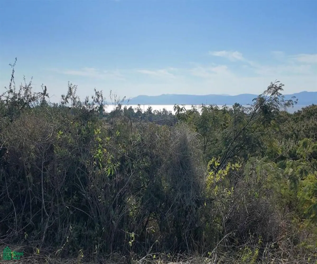 Terreno En Venta,Chapala,MIRAFLORES COTO L6, Chapala, Jalisco 45900,MIRAFLORES COTO,MX251050399