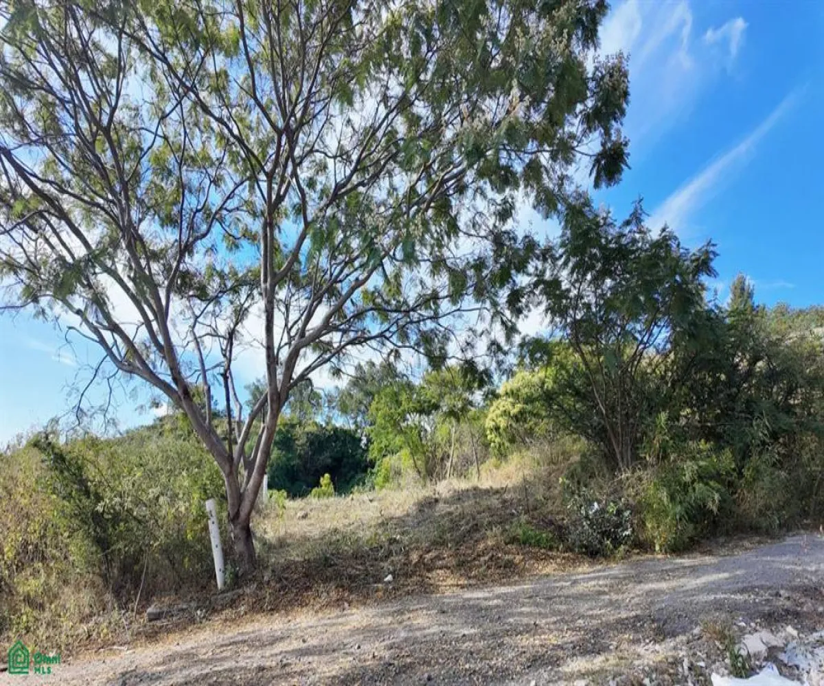 Terreno En Venta,Chapala,MIRAFLORES COTO L6, Chapala, Jalisco 45900,MIRAFLORES COTO,MX251050399