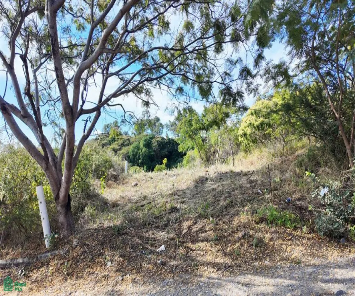 Terreno En Venta,Chapala,MIRAFLORES COTO L6, Chapala, Jalisco 45900,MIRAFLORES COTO,MX251050399