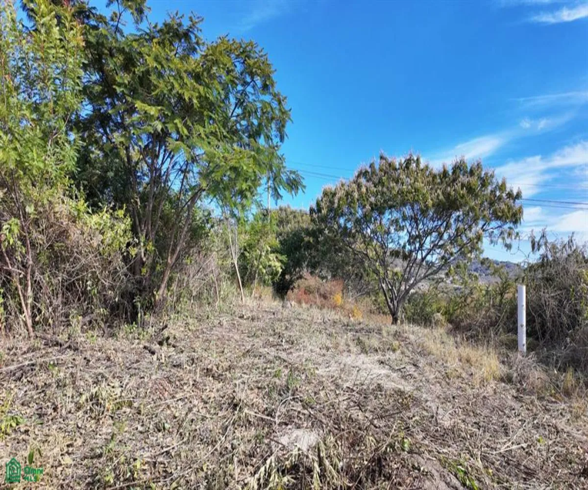 Terreno En Venta,Chapala,MIRAFLORES COTO L6, Chapala, Jalisco 45900,MIRAFLORES COTO,MX251050399