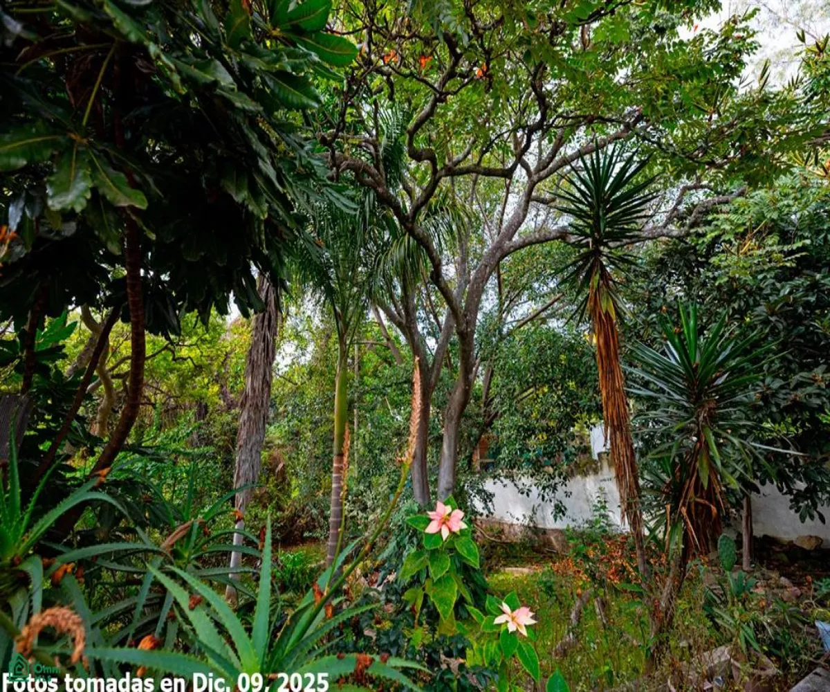 Casa En Venta,Chapala Haciendas,Calle Ruiseñor #5, Chapala Haciendas, Chapala, Jal 5, Chapala, Jalisco 45900, 2 Habitaciones,2 Baños,Calle Ruiseñor #5, Chapala Haciendas, Chapala, Jal,MX26004503M