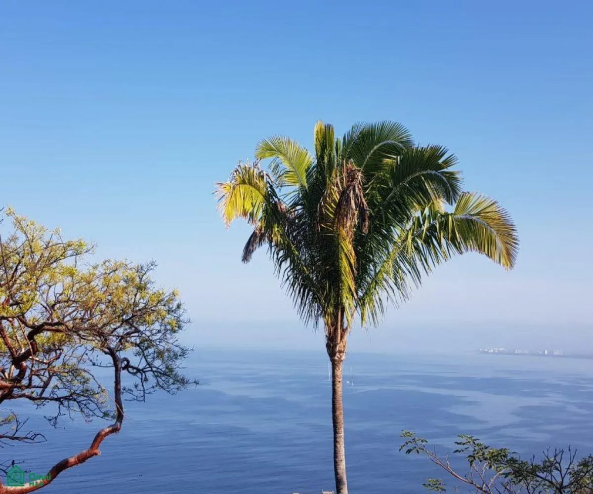 Terreno En Venta,South Shore,Paseo de las Conchas Chinas 143, Puerto Vallarta, Jalisco 48399,Paseo de las Conchas Chinas,MX26006748M