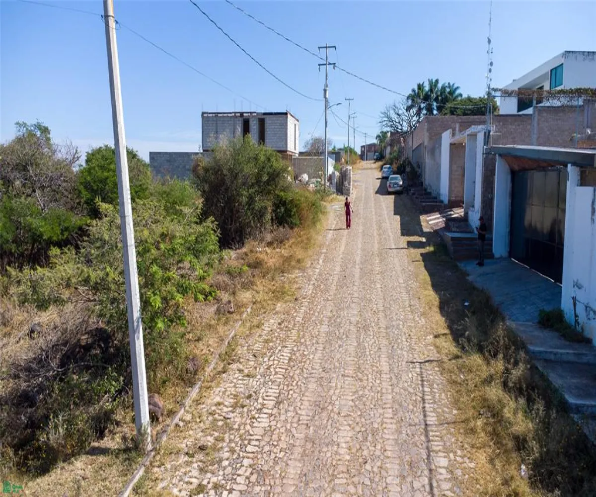 Terreno En Venta,Avenida Panoramica S/N, Tlajomulco de Zuniga, Jalisco 45677,Avenida Panoramica,MX26006829M