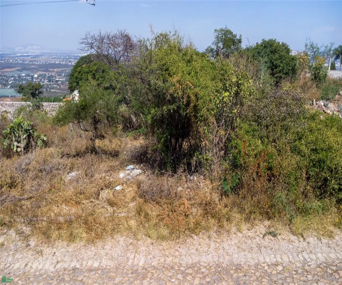 Terreno En Venta,Avenida Panoramica S/N, Tlajomulco de Zuniga, Jalisco 45677,Avenida Panoramica,MX26006829M