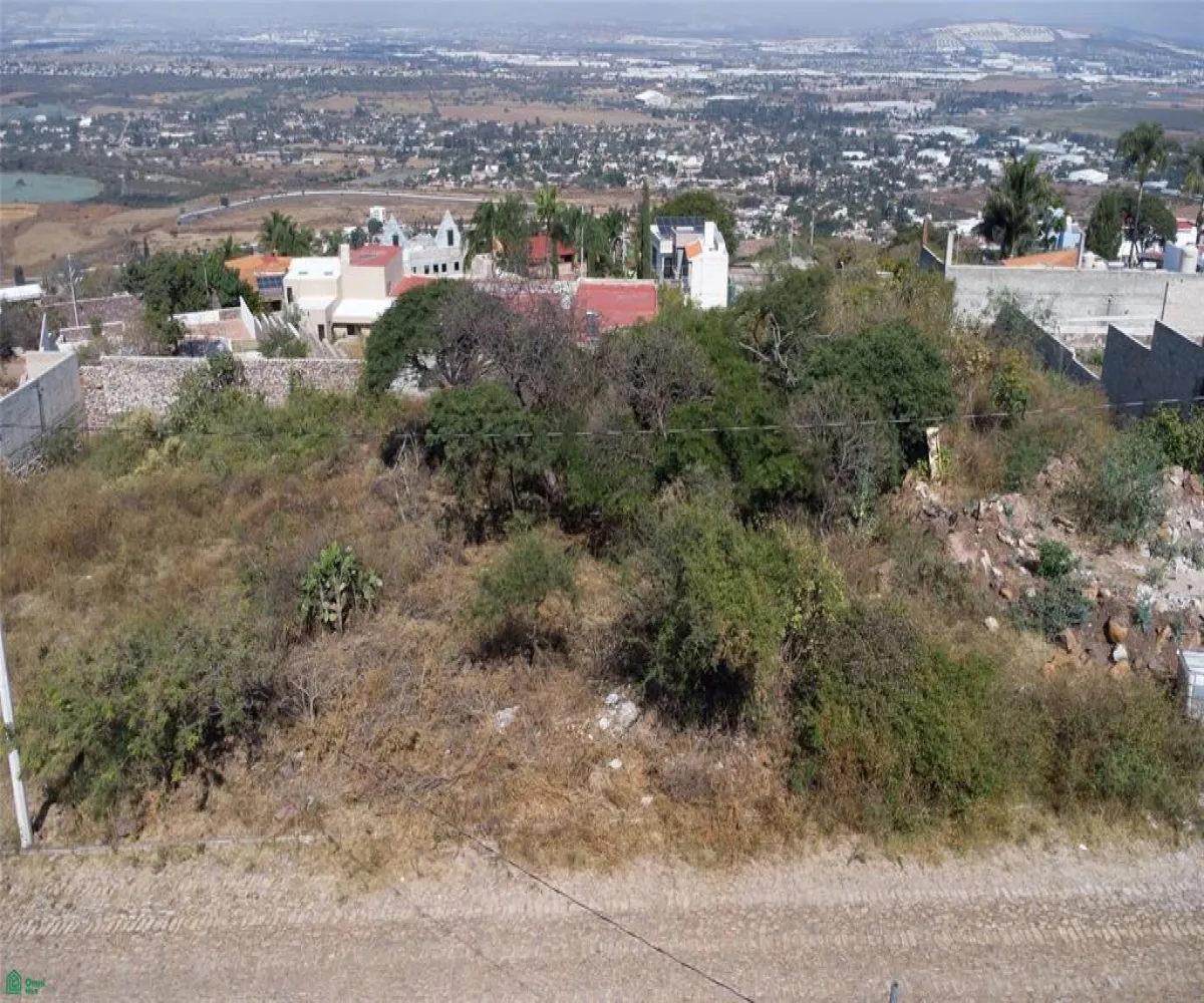 Terreno En Venta,Avenida Panoramica S/N, Tlajomulco de Zuniga, Jalisco 45677,Avenida Panoramica,MX26006829M