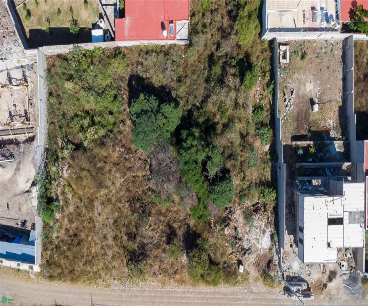 Terreno En Venta,Avenida Panoramica S/N, Tlajomulco de Zuniga, Jalisco 45677,Avenida Panoramica,MX26006829M