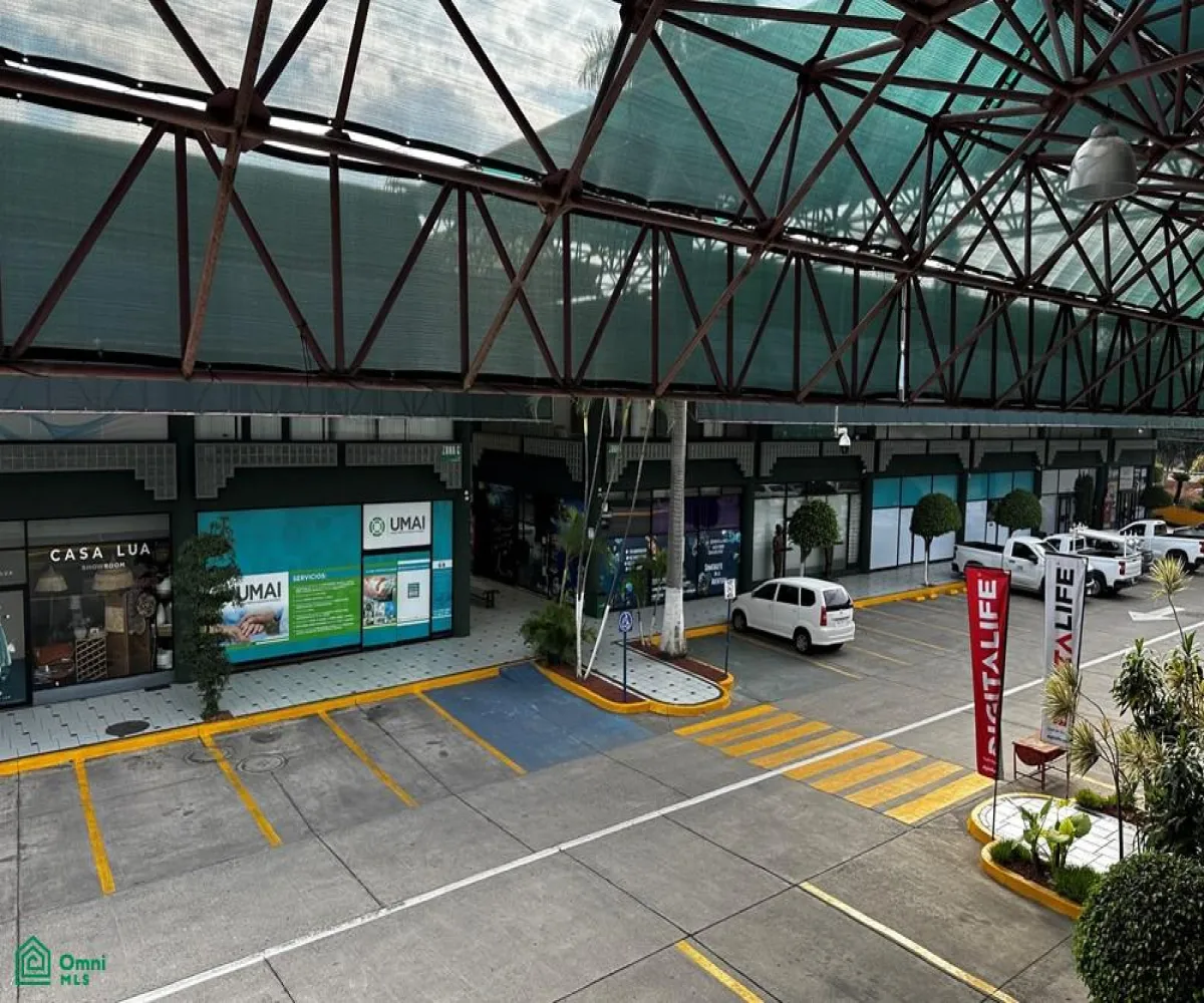 Edificio En Venta,Vallarta Poniente,Av Ignacio L Vallarta 3233, Guadalajara, Jalisco 44110,Av Ignacio L Vallarta,MX261083874