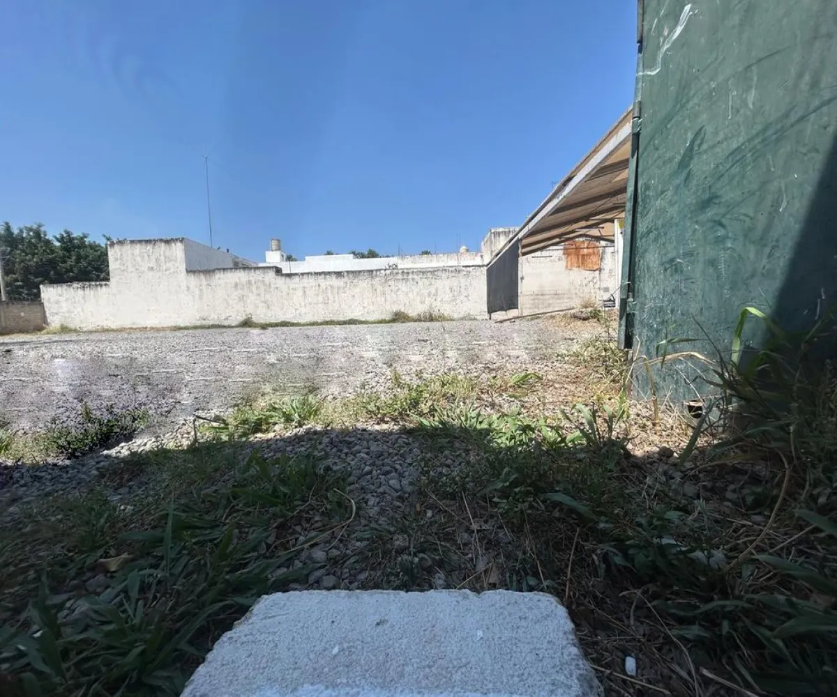 Terreno En Renta,Vallarta San Jorge,Avenida Juan Palomar y Arias 115, Guadalajara, Jalisco 44690,Avenida Juan Palomar y Arias,pO0F7tX