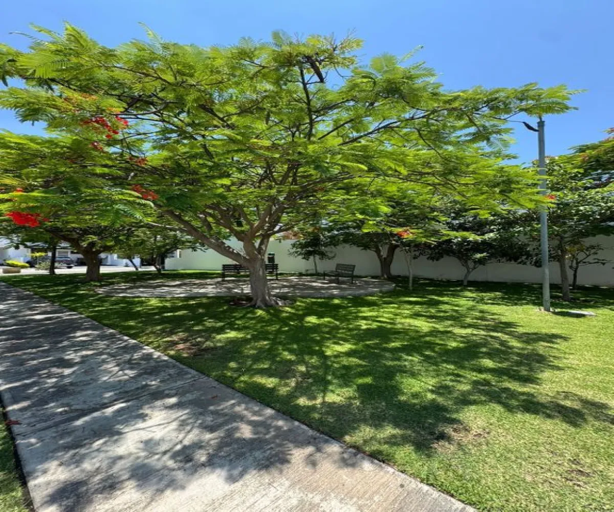 Casa En Venta,La Cima,Av. La Cima S/N, Zapopan, Jalisco 45110, 4 Habitaciones,3 Baños,Av. La Cima,1,pzwGta6