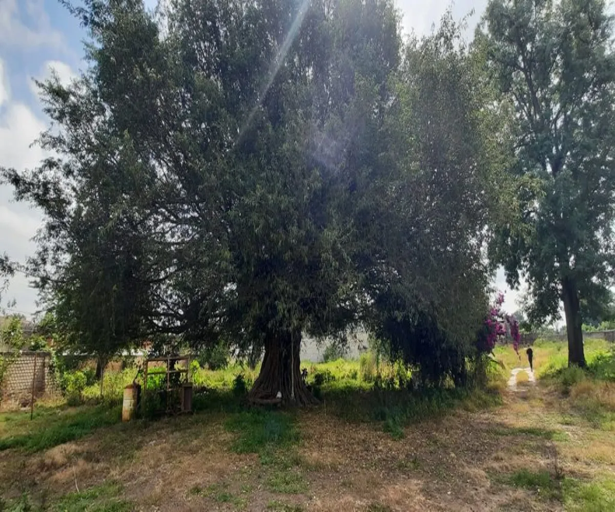 Terreno En Venta,Los Cajetes,San Antonio 45, Zapopan, Jalisco 45234,San Antonio,pbBYTYf