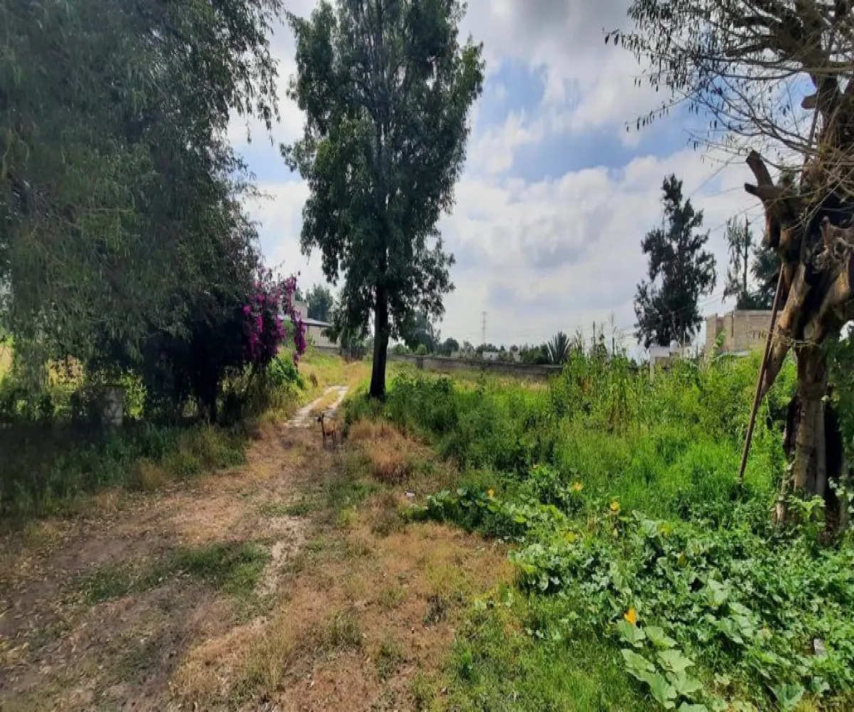 Terreno En Venta,Los Cajetes,San Antonio 45, Zapopan, Jalisco 45234,San Antonio,pbBYTYf