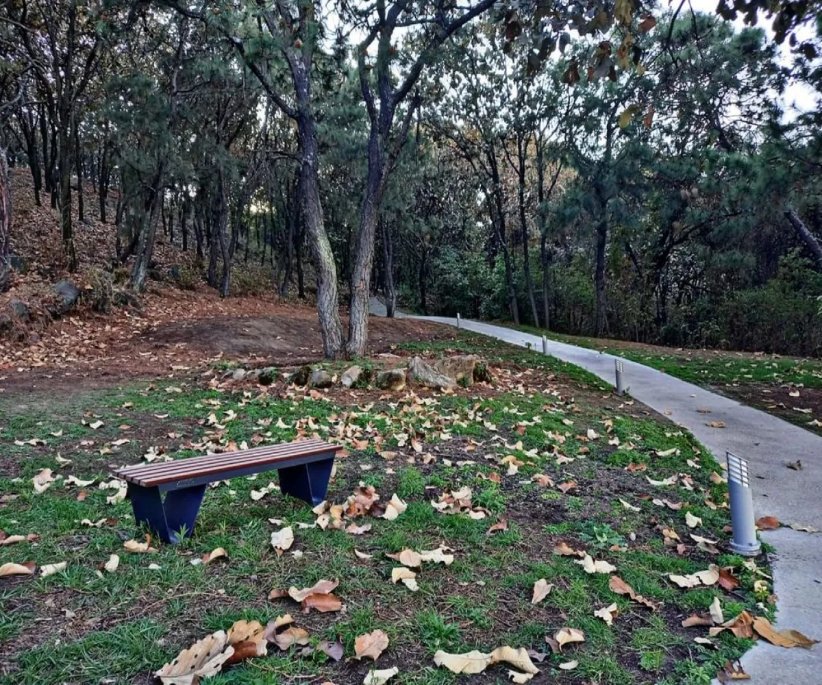 Departamento En Venta,El Bajío,Avenida Del Bajío 1700 210205, Zapopan, Jalisco 45010, 2 Habitaciones,2 Baños,Avenida Del Bajío,1,pLpLn1T