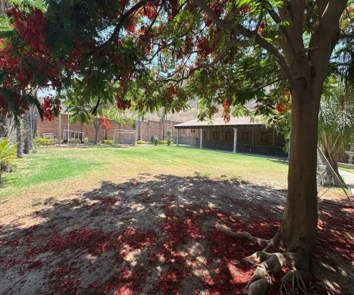 En Venta,Rincón de Los Copales,León 24, Tlajomulco de Zúñiga, Jalisco 45645, 3 Habitaciones,1 Baño,León,1,pFbKsSw