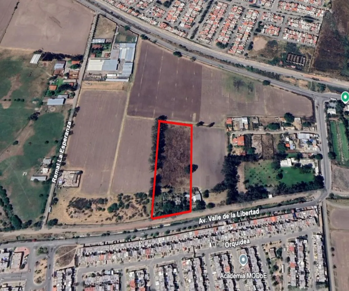 Terreno En Venta,Valle De Los Encinos,Avenida Valle de la Libertad SN, Tlajomulco de Zúñiga, Jalisco 45655,Avenida Valle de la Libertad,pYFI21S