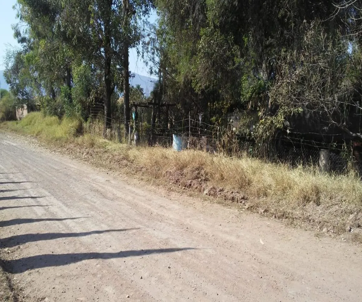 Terreno En Venta,Valle De Los Encinos,Avenida Valle de la Libertad SN, Tlajomulco de Zúñiga, Jalisco 45655,Avenida Valle de la Libertad,pYFI21S