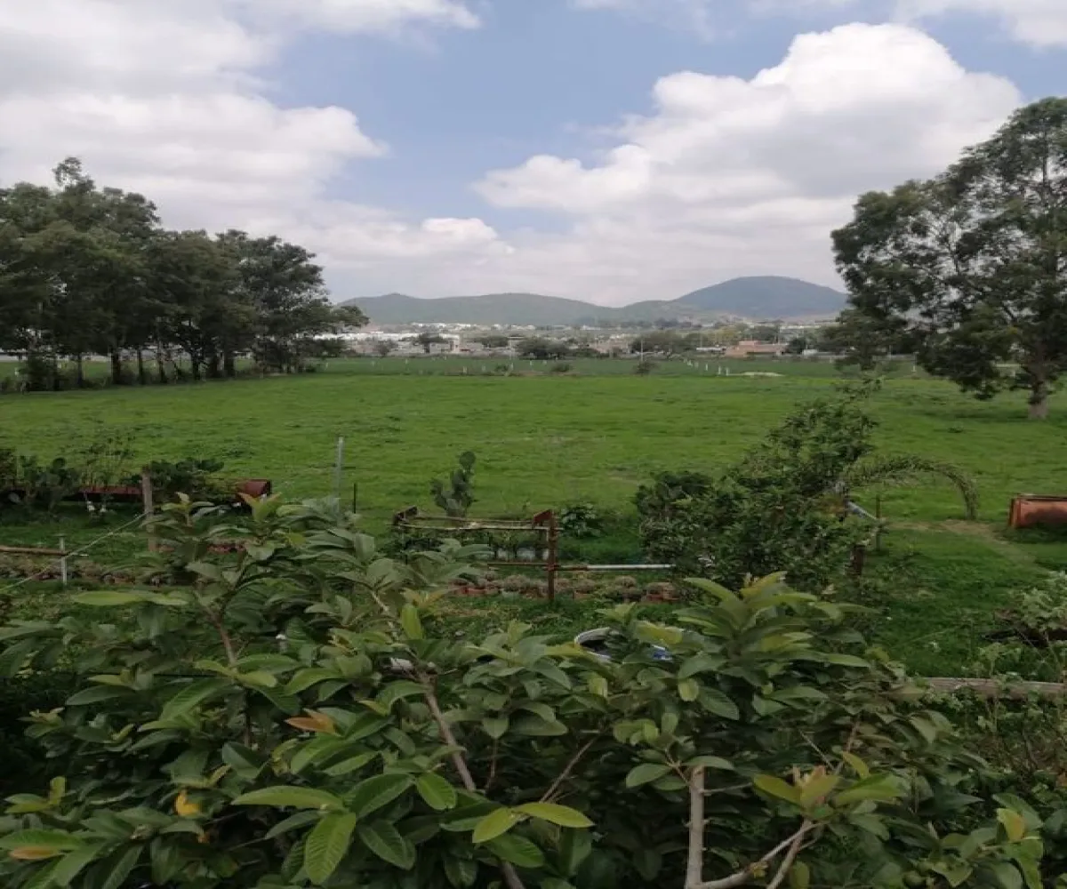 Terreno En Venta,Valle De Los Encinos,Avenida Valle de la Libertad SN, Tlajomulco de Zúñiga, Jalisco 45655,Avenida Valle de la Libertad,pYFI21S