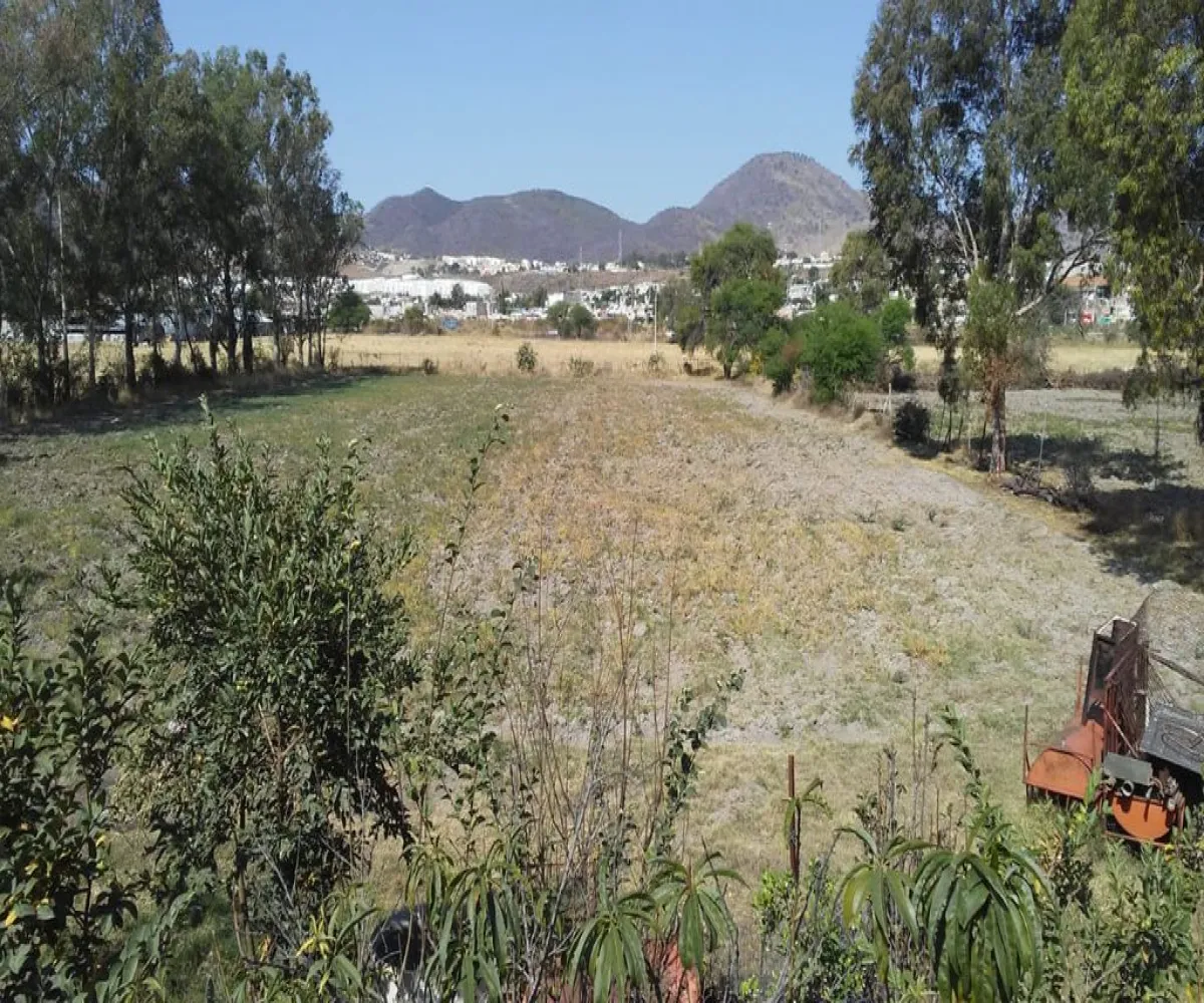 Terreno En Venta,Valle De Los Encinos,Avenida Valle de la Libertad SN, Tlajomulco de Zúñiga, Jalisco 45655,Avenida Valle de la Libertad,pYFI21S