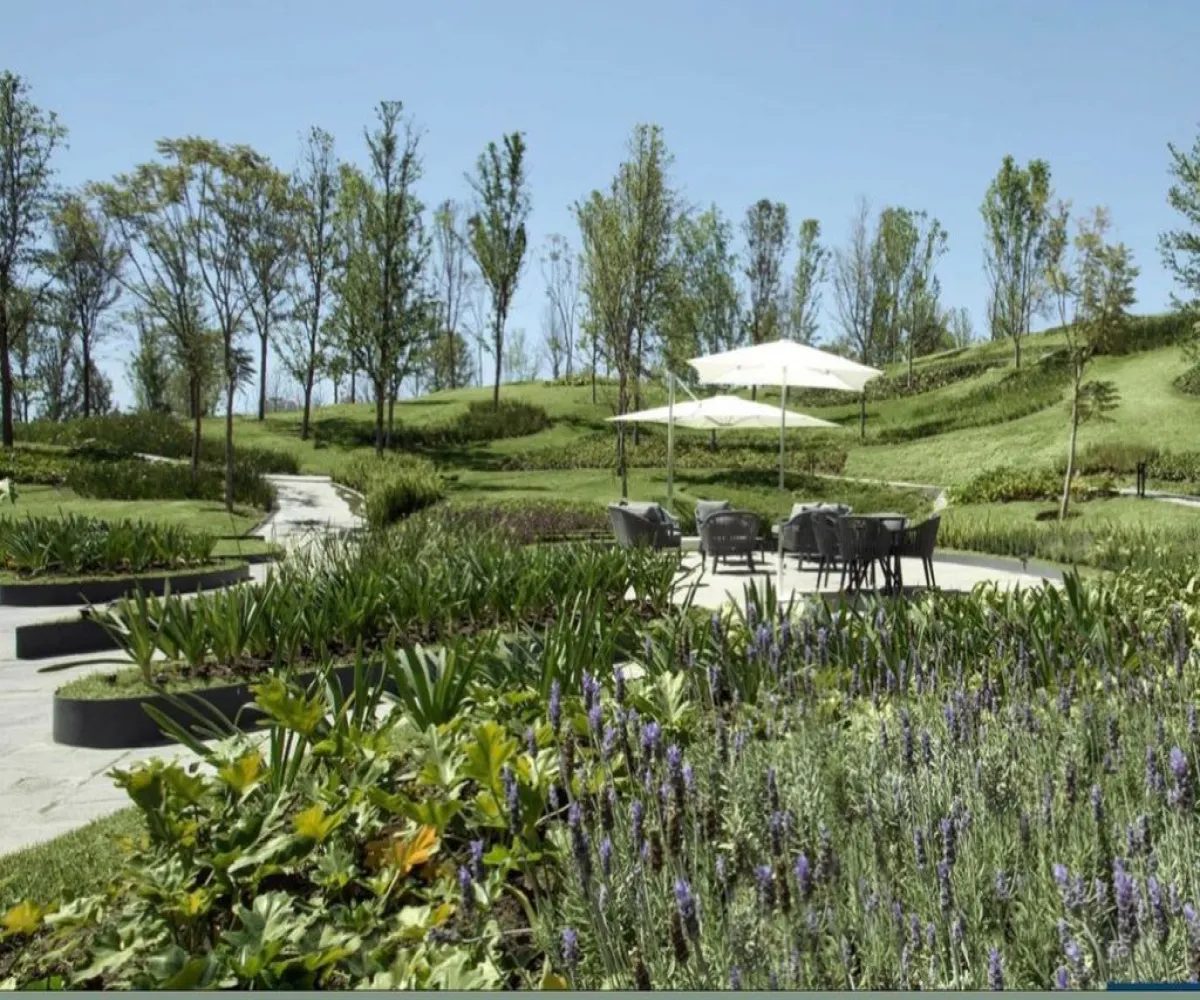 Departamento En Venta,PUERTA PLATA,AV UNIVERSIDAD 1000, Guadalajara, Jalisco 45116, 2 Habitaciones,2 Baños,AV UNIVERSIDAD ,1,p7eIaa8