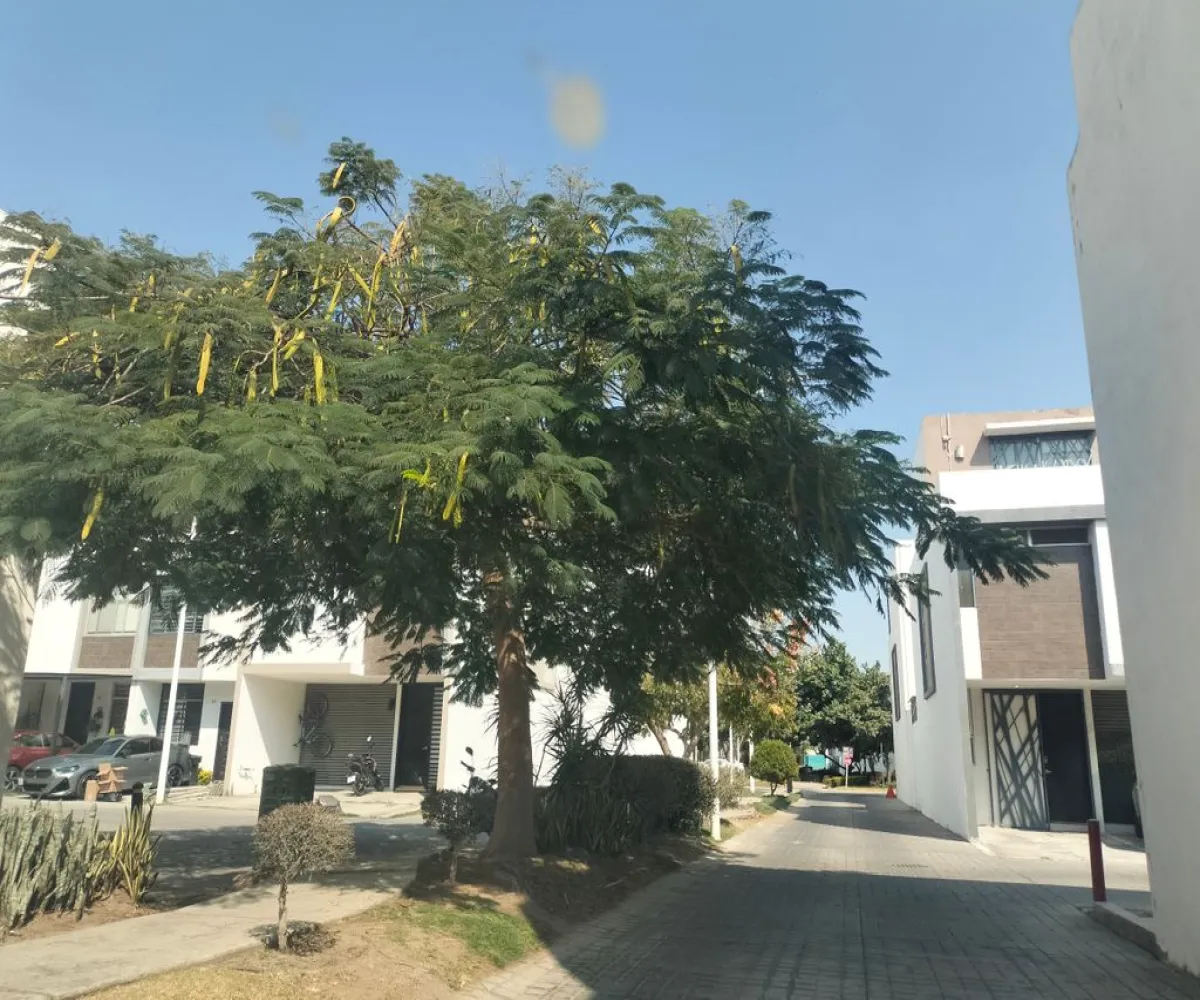 Casa En Venta,Francisco I. Madero 671 60, San Pedro Tlaquepaque, Jalisco 45645, 3 Habitaciones,2 Baños,Francisco I. Madero,3,p9BIhZ3