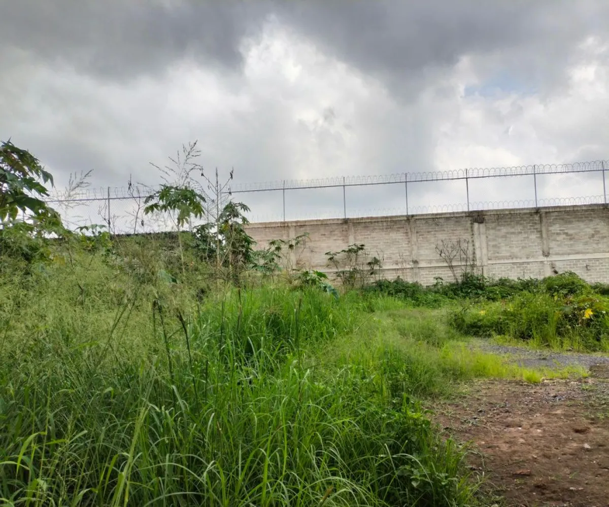 Terreno En Venta,El Zalate,Mezquite S/N, San Pedro Tlaquepaque, Jalisco 45627,Mezquite,pzyOOAr