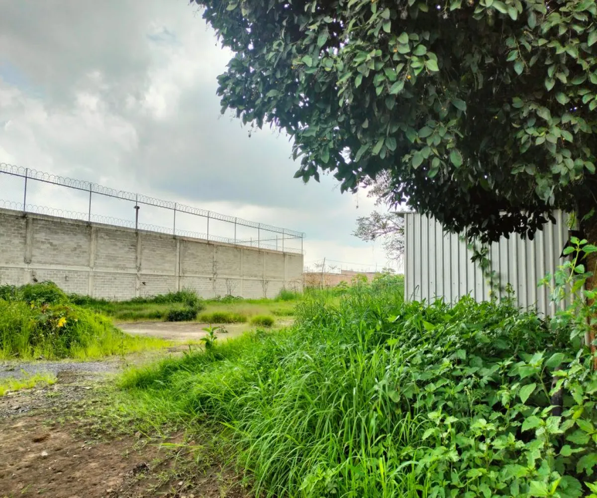 Terreno En Venta,El Zalate,Mezquite S/N, San Pedro Tlaquepaque, Jalisco 45627,Mezquite,pzyOOAr