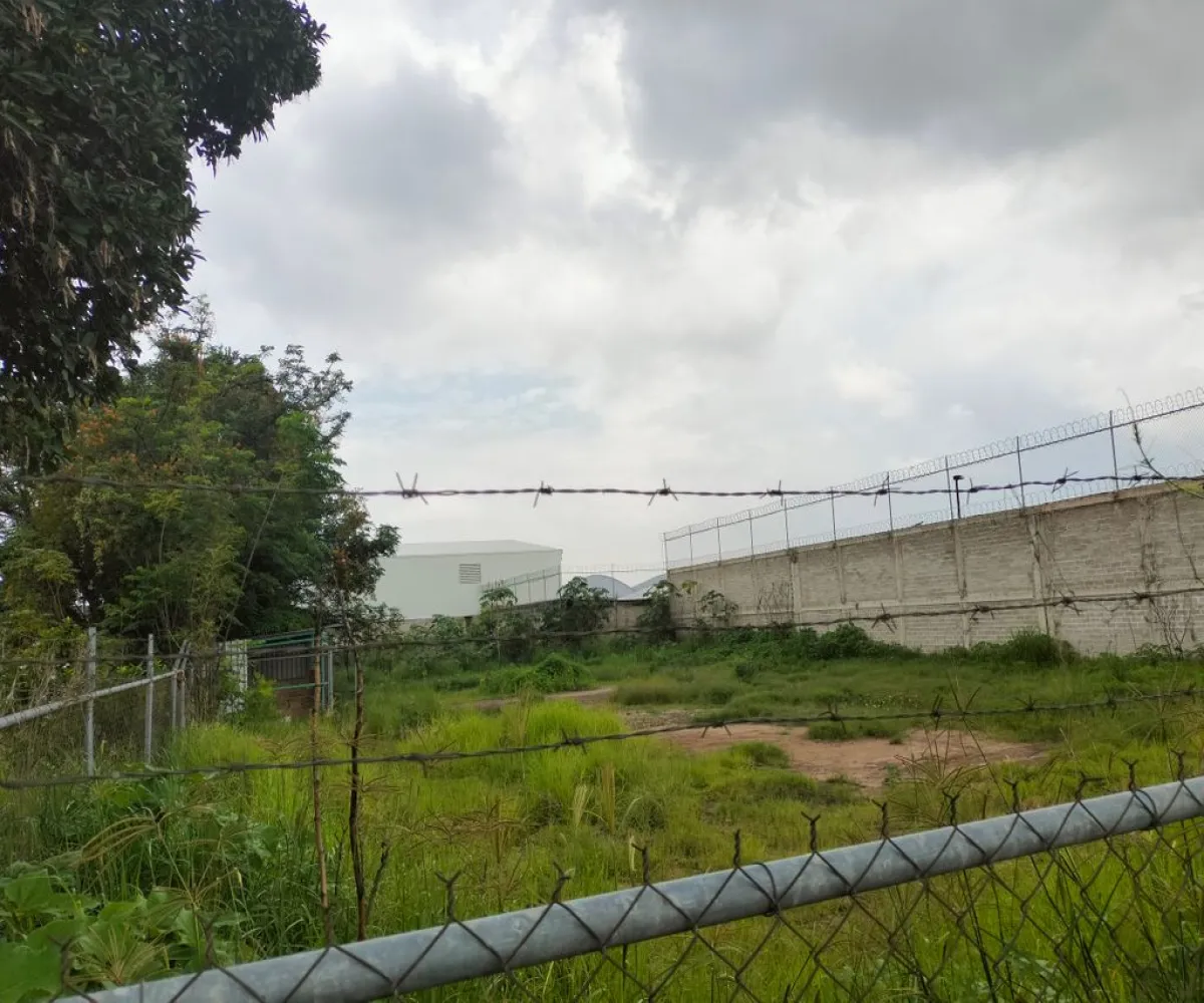 Terreno En Venta,El Zalate,Mezquite S/N, San Pedro Tlaquepaque, Jalisco 45627,Mezquite,pzyOOAr