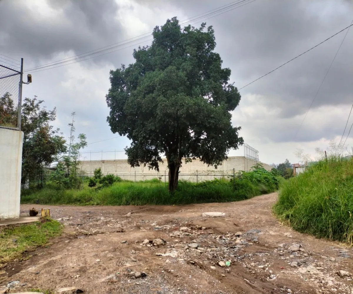 Terreno En Venta,El Zalate,Mezquite S/N, San Pedro Tlaquepaque, Jalisco 45627,Mezquite,pzyOOAr