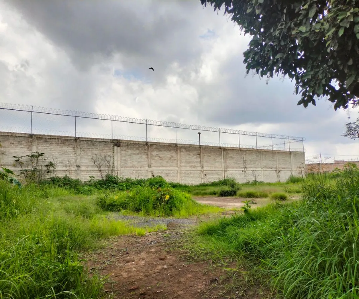 Terreno En Venta,El Zalate,Mezquite S/N, San Pedro Tlaquepaque, Jalisco 45627,Mezquite,pzyOOAr