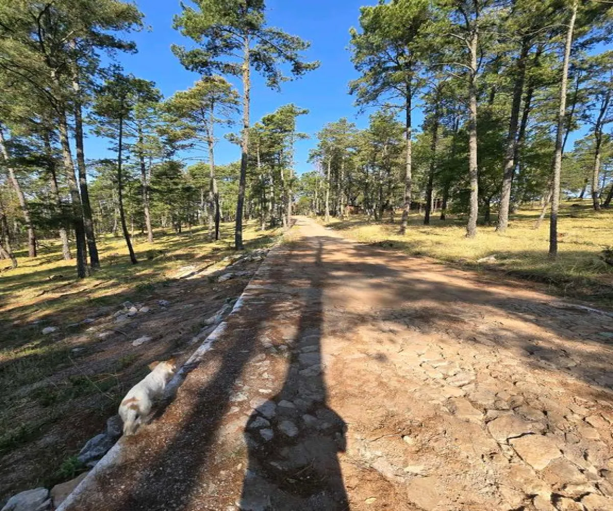 Terreno En Venta,Condesa,Carretera a tapalpa 100, Juanacatlán, Jalisco 45880,Carretera a tapalpa ,p0qIoBx