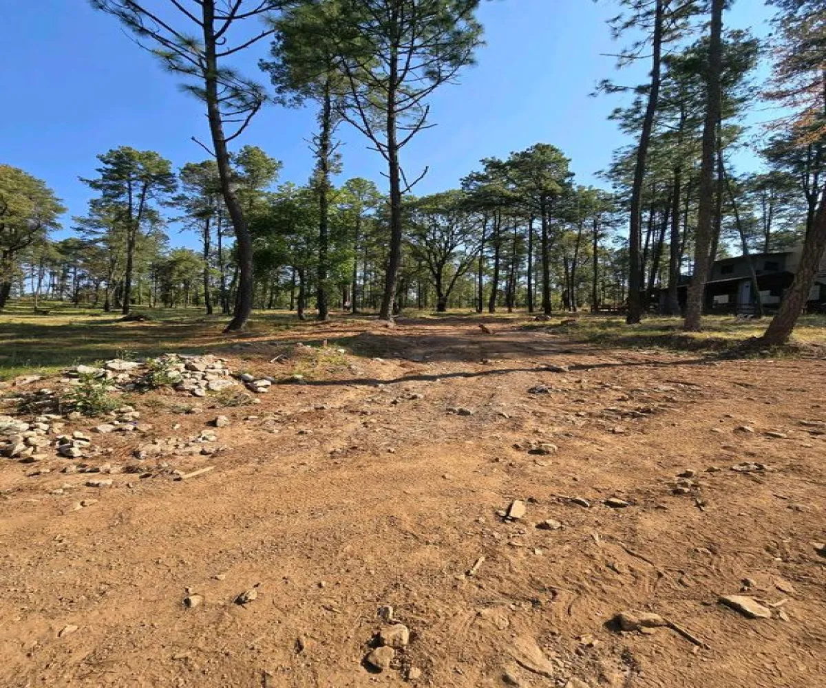 Terreno En Venta,Condesa,Carretera a tapalpa 100, Juanacatlán, Jalisco 45880,Carretera a tapalpa ,p0qIoBx