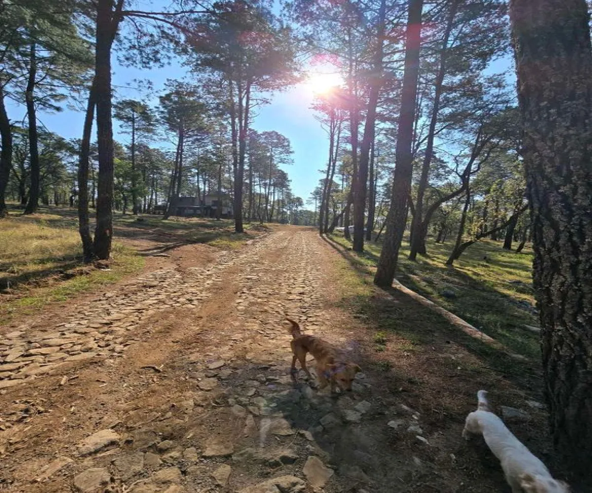 Terreno En Venta,Condesa,Carretera a tapalpa 100, Juanacatlán, Jalisco 45880,Carretera a tapalpa ,p0qIoBx