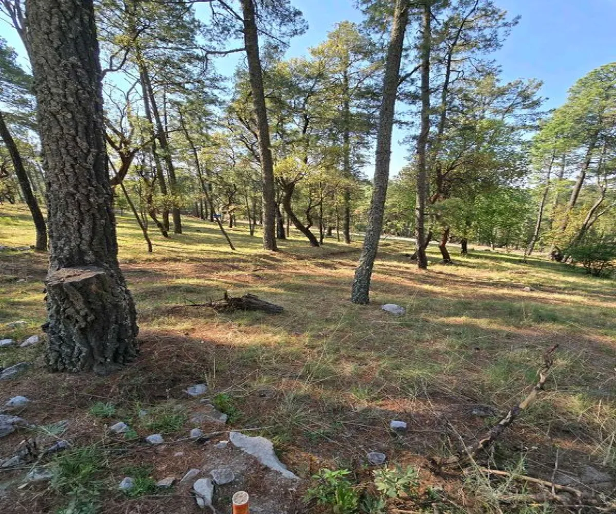 Terreno En Venta,Condesa,Carretera a tapalpa 100, Juanacatlán, Jalisco 45880,Carretera a tapalpa ,p0qIoBx