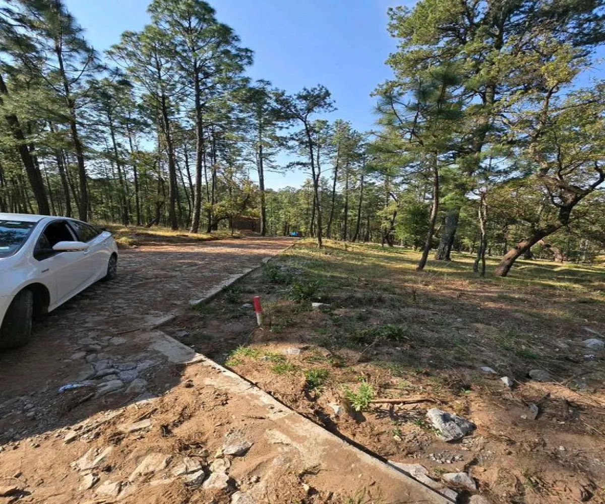 Terreno En Venta,Condesa,Carretera a tapalpa 100, Juanacatlán, Jalisco 45880,Carretera a tapalpa ,p0qIoBx