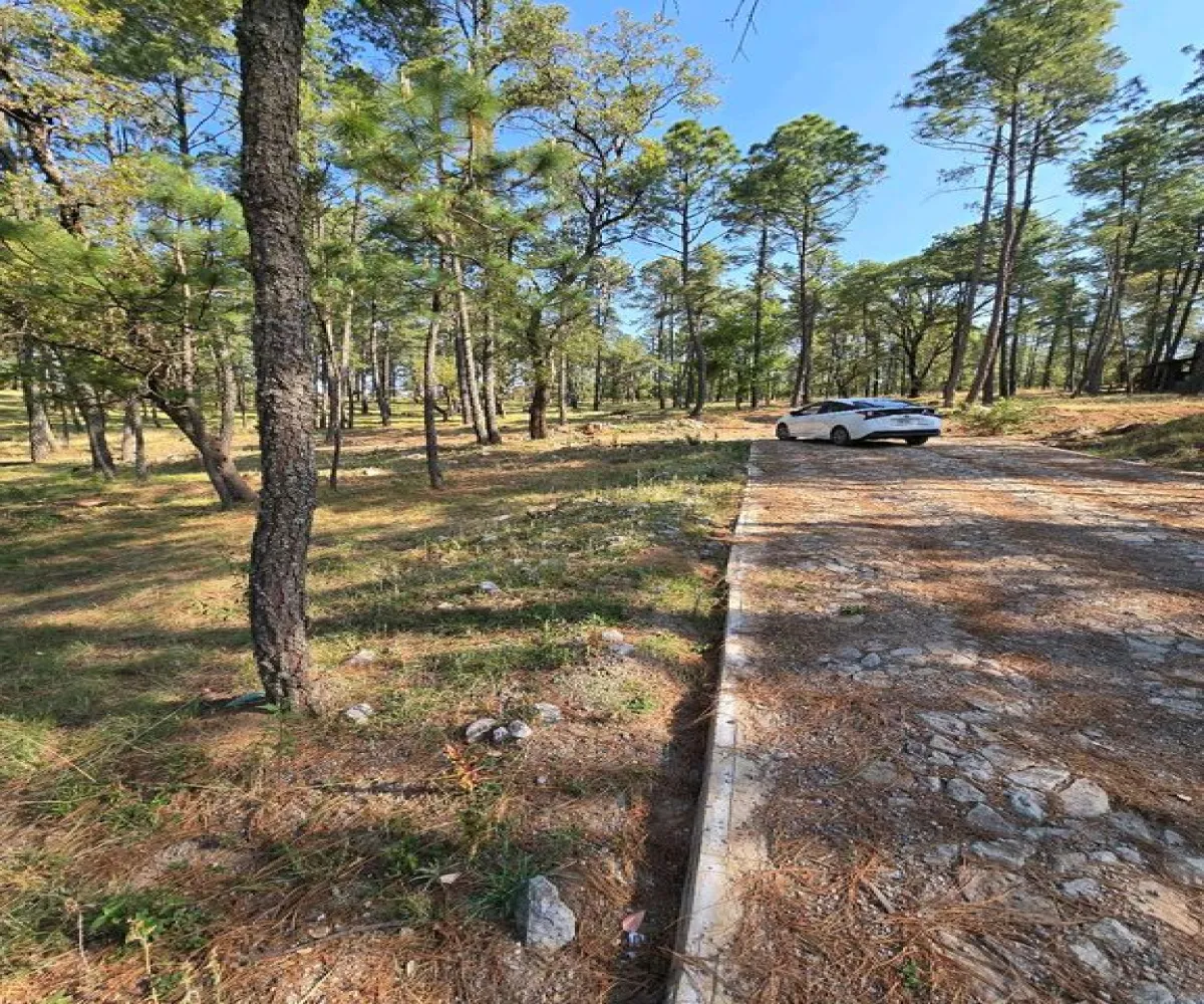 Terreno En Venta,Condesa,Carretera a tapalpa 100, Juanacatlán, Jalisco 45880,Carretera a tapalpa ,p0qIoBx