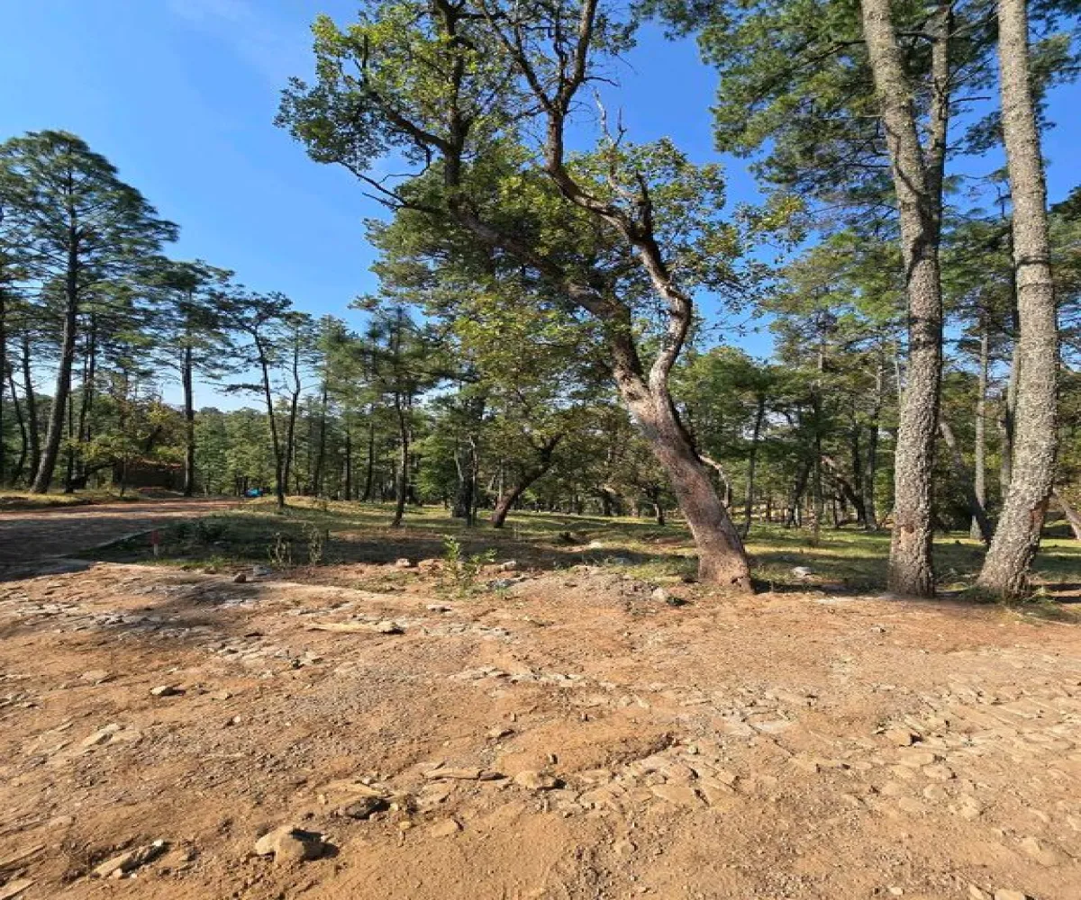 Terreno En Venta,Condesa,Carretera a tapalpa 100, Juanacatlán, Jalisco 45880,Carretera a tapalpa ,p0qIoBx