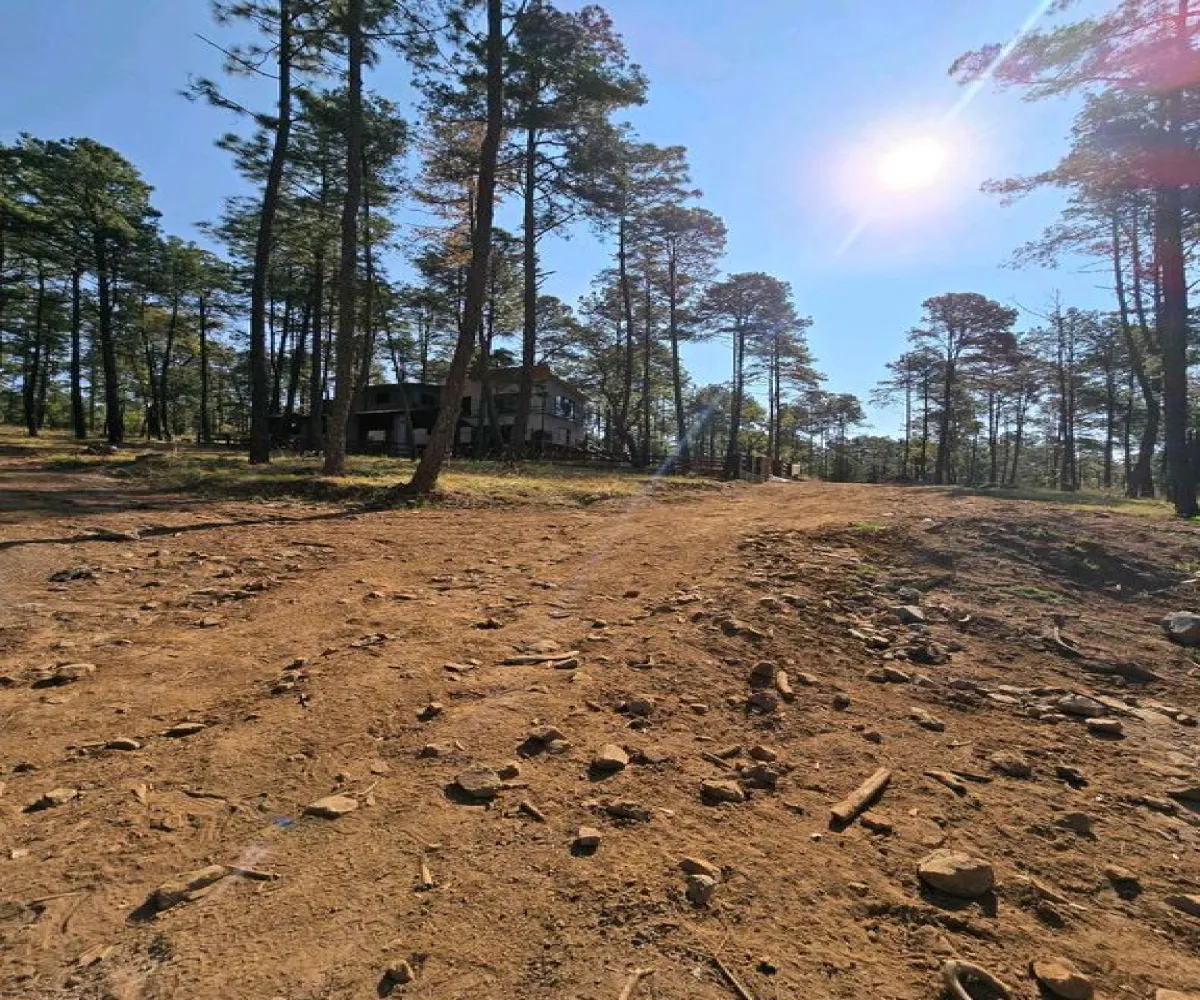 Terreno En Venta,Condesa,Carretera a tapalpa 100, Juanacatlán, Jalisco 45880,Carretera a tapalpa ,p0qIoBx