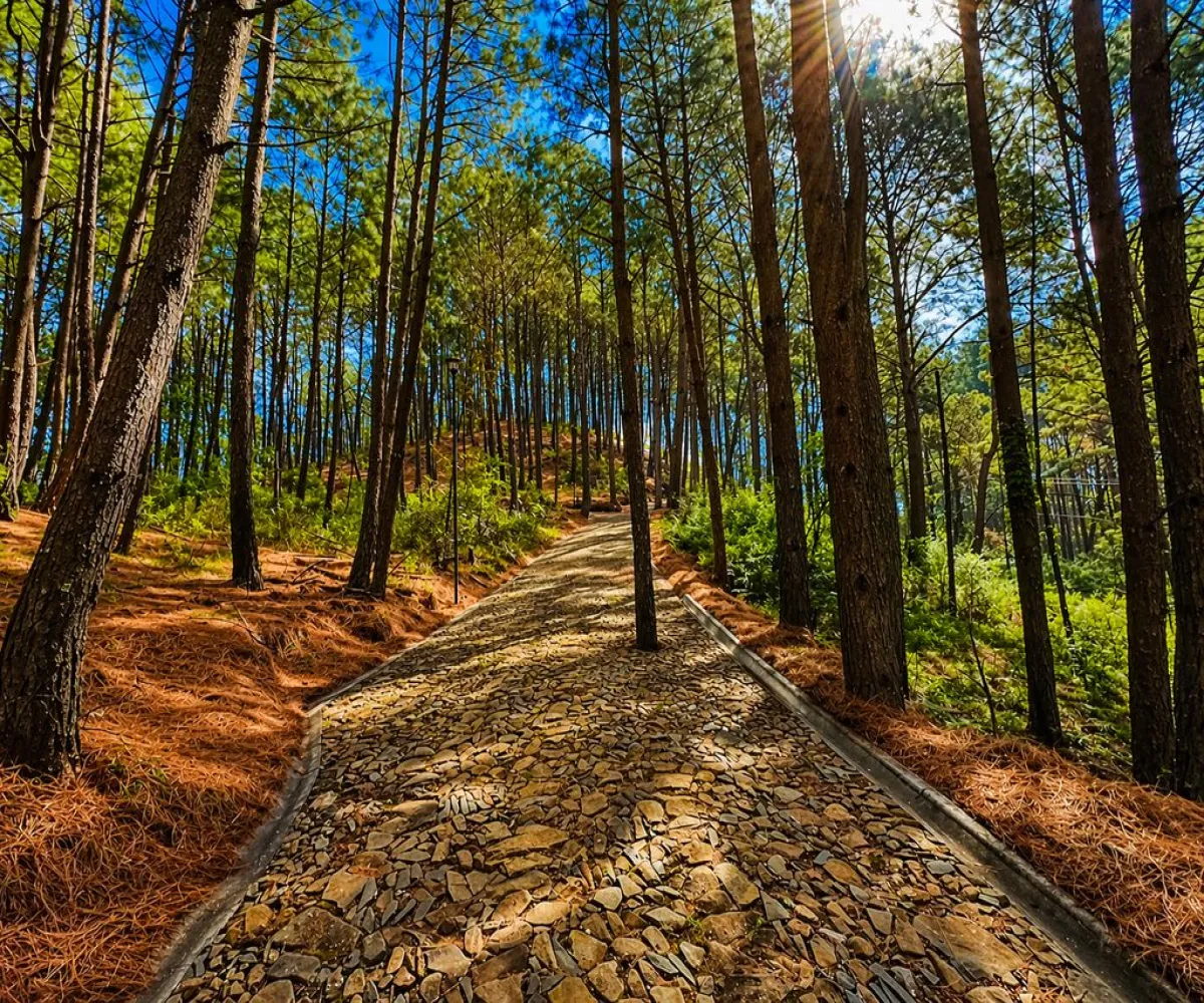 Terreno En Venta,Grand Mazamitla,Los Pinos 9, Mazamitla, Jalisco 49500,Los Pinos,p6uJkr7