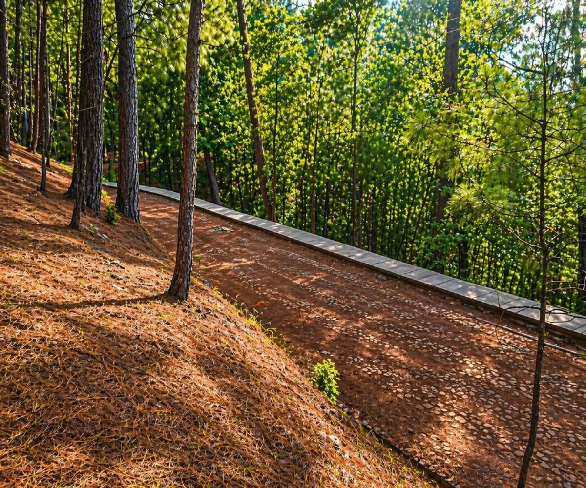 Terreno En Venta,Grand Mazamitla,Los Pinos 9, Mazamitla, Jalisco 49500,Los Pinos,p6uJkr7