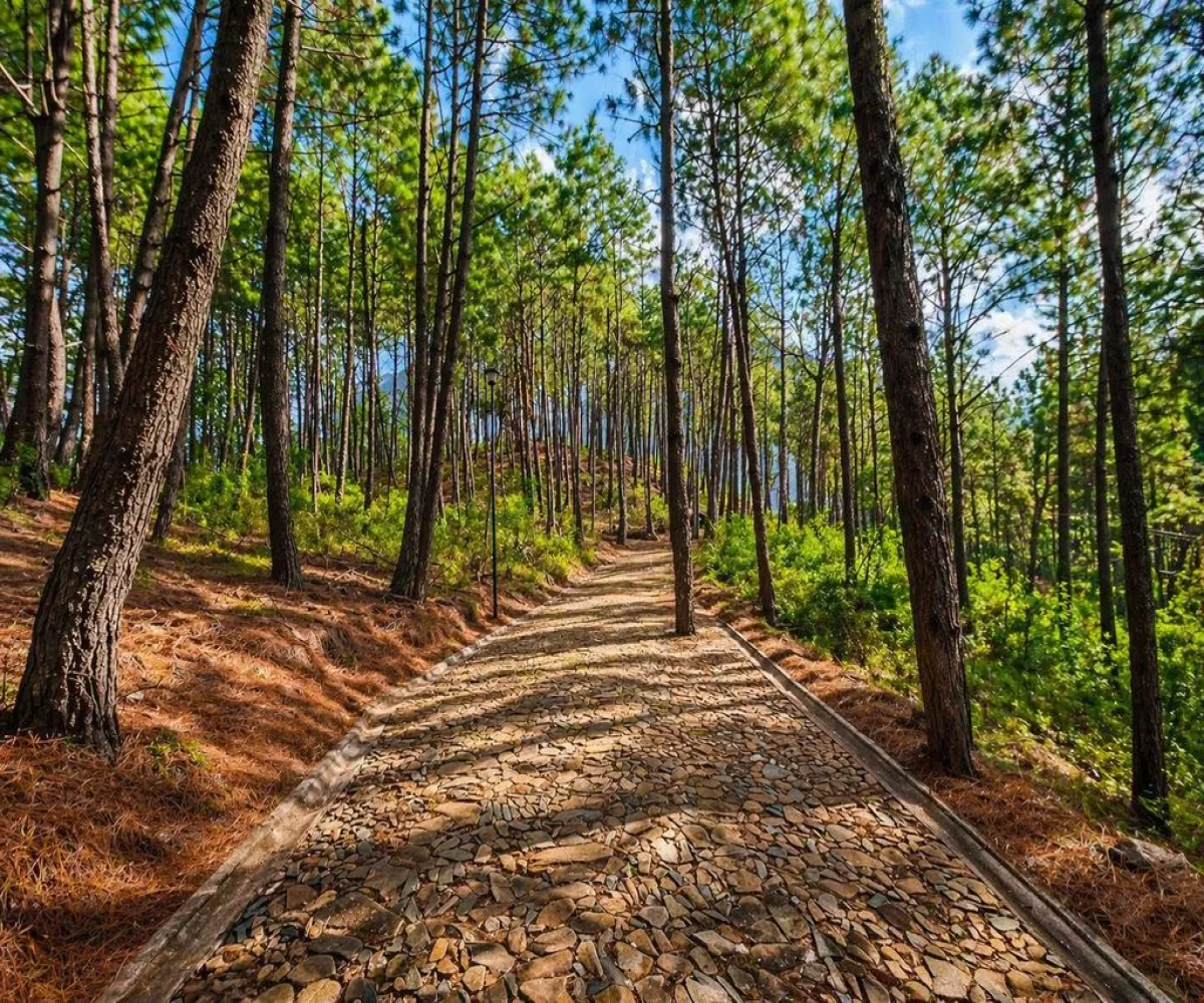 Terreno En Venta,Grand Mazamitla,Los Pinos 9, Mazamitla, Jalisco 49500,Los Pinos,p6uJkr7