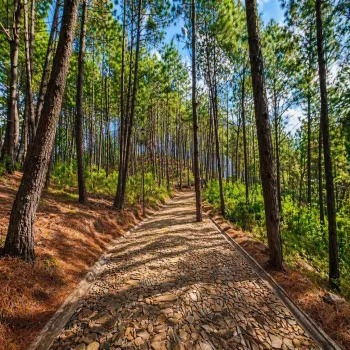 Terreno En Venta,Grand Mazamitla,Los Pinos 9, Mazamitla, Jalisco 49500,Los Pinos,p6uJkr7