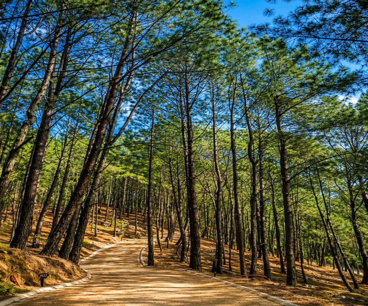 Terreno En Venta,Grand Mazamitla,Los Pinos 9, Mazamitla, Jalisco 49500,Los Pinos,p6uJkr7