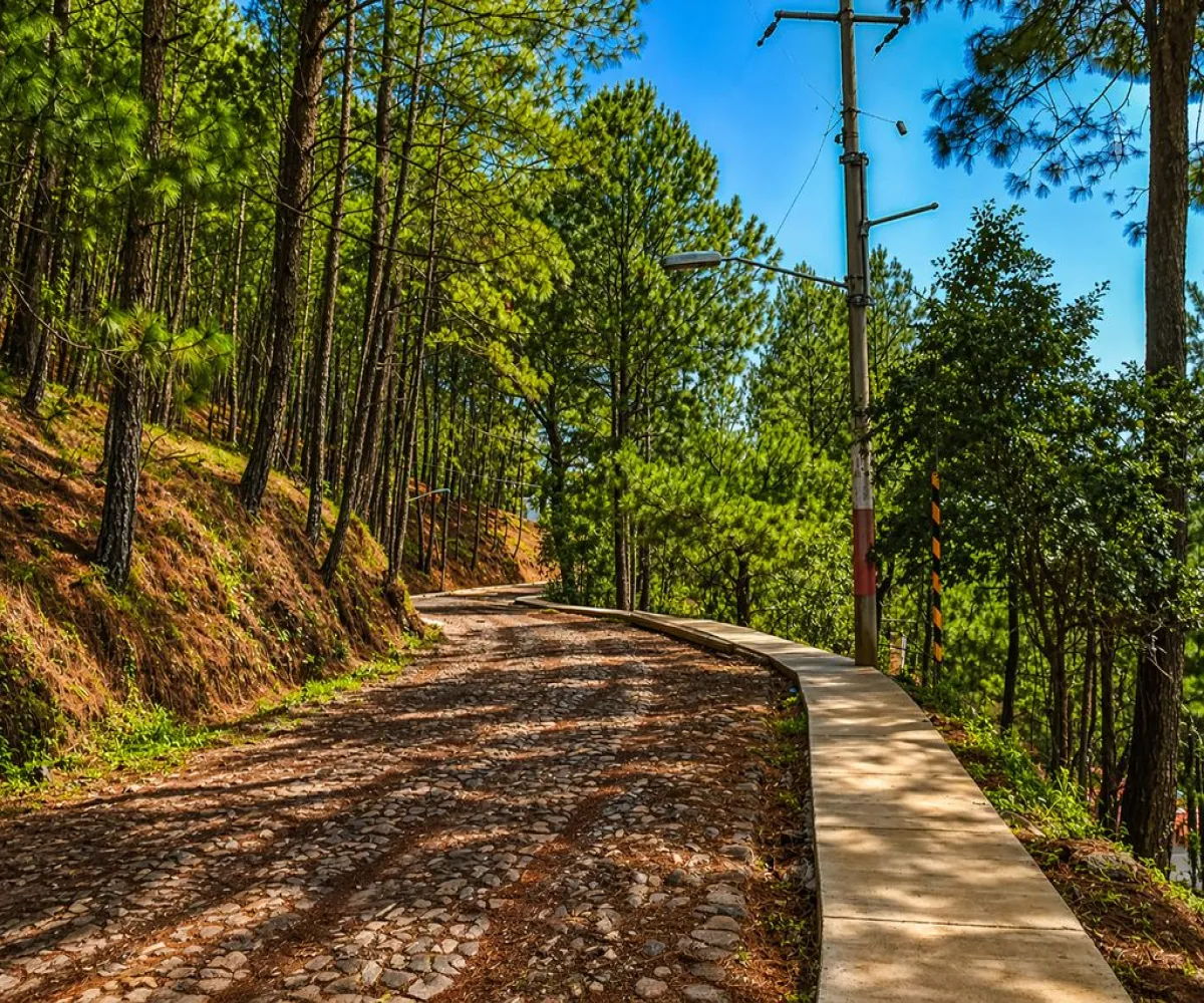 Terreno En Venta,Grand Mazamitla,Los Pinos 9, Mazamitla, Jalisco 49500,Los Pinos,p6uJkr7