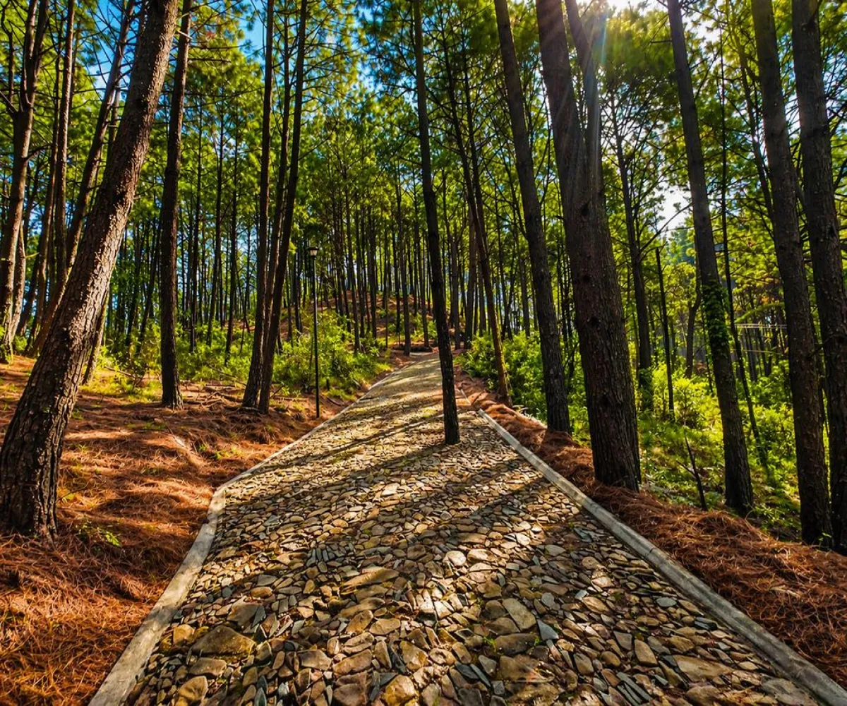 Terreno En Venta,Grand Mazamitla,Los Pinos 9, Mazamitla, Jalisco 49500,Los Pinos,p6uJkr7