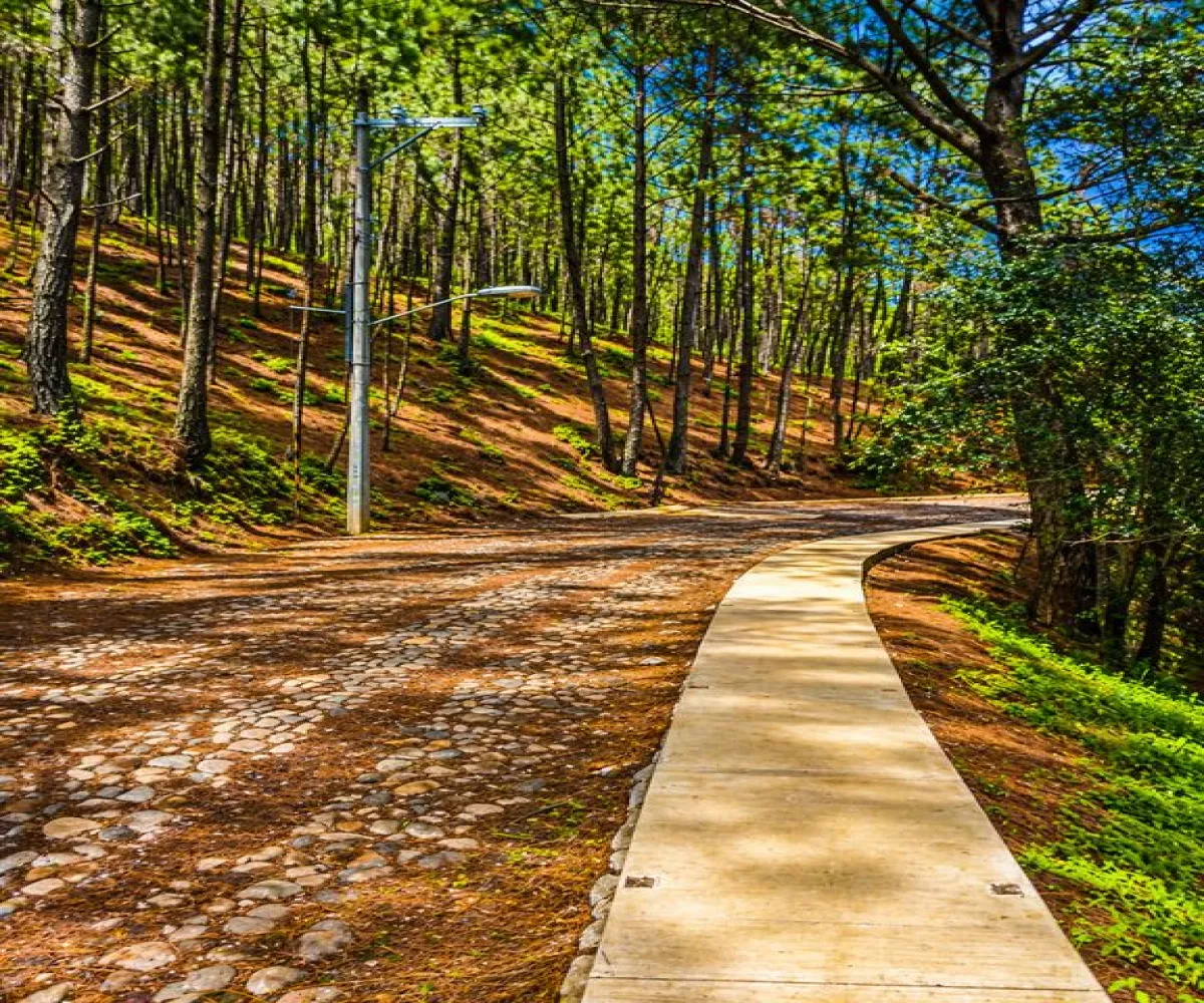 Terreno En Venta,Grand Mazamitla,Los Pinos 9, Mazamitla, Jalisco 49500,Los Pinos,p6uJkr7