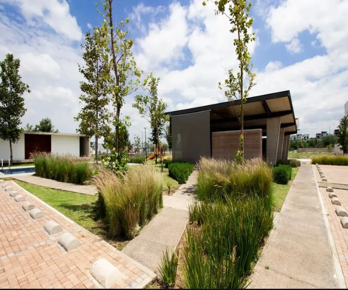 Terreno En Venta,Parques Vallarta,Calle Paseo del Norte 3430, Zapopan, Jalisco 45134,Calle Paseo del Norte,pg0gHvi