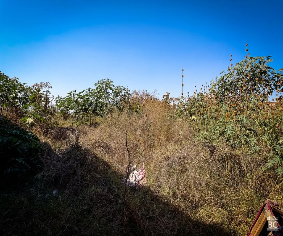 Terreno En Venta,Tateposco,Privada Niños Héroes 20, San Pedro Tlaquepaque, Jalisco 45630,Privada Niños Héroes,pSXL2It