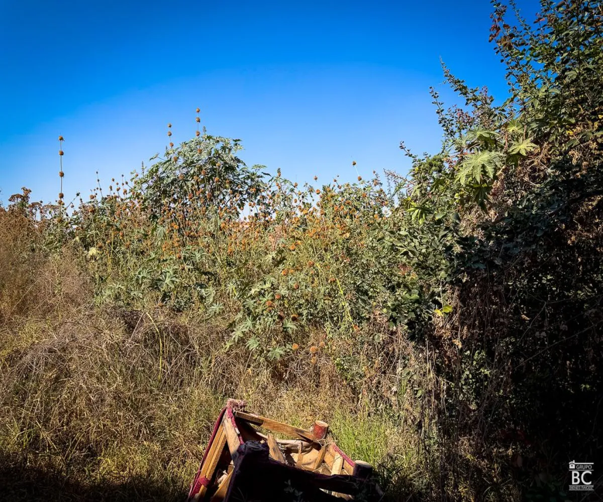 Terreno En Venta,Tateposco,Privada Niños Héroes 20, San Pedro Tlaquepaque, Jalisco 45630,Privada Niños Héroes,pSXL2It